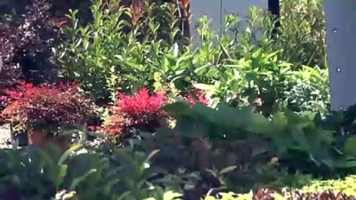 Peyzaj Ve Süs Bitkiciliği Festivali Sona Erdi