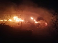 TEKEBAŞı - Samandağ'da Bitki Örtüsü Yangını