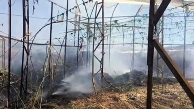 Antalya'da Sera Yangını