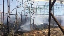 İBRAHIM YıLDıZ - Antalya'da Sera Yangını