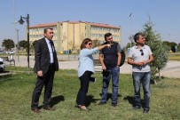 DOĞUŞ - ASÜ'de Teknopark İçin Saha İncelemesi Yapıldı