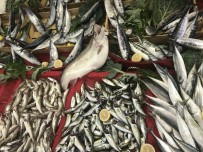 KOCABAŞ - Balıkçılar Havanın Soğumasını Bekliyor