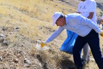 AMBALAJ ATIKLARI - Başkan Mehmet Çınar, Gençlerle Birlikte Temizlik Yaptı, Çöp Topladı