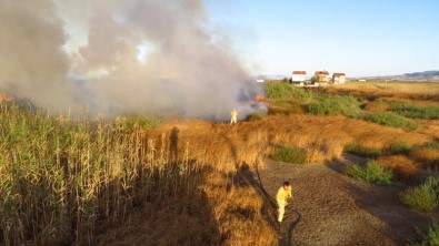 Biga'da Sazlıkta Çıkan Yangın Korkuttu