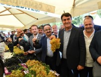 SES SANATÇISI - Bursa'nın En Güzel Üzümleri Belli Oldu