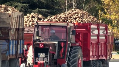 Çorum'da Şeker Pancarı Alımına Törenle Başlandı