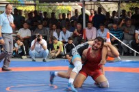 MUSTAFA GÜRDAL - Dünya Şampiyonları Çan'da Güreşti