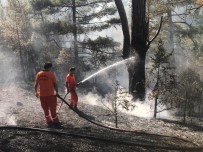 CEHENNEM DERESİ - Kemer'deki Orman Yangını Kontrol Altına Alındı