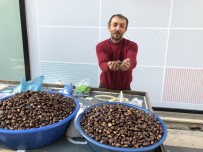 Kışın Habercisi Kestane Tezgahlarda