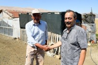 KONYAALTI BELEDİYESİ - Konyaaltı Belediyesinden Çobanlara Destek