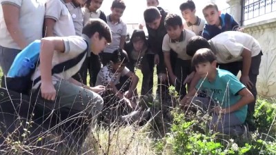 Sokak Köpekleri Okulun Maskotu Oldu