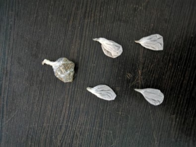 Şüpheli Şahıslardan Uyuşturucu Ele Geçirildi