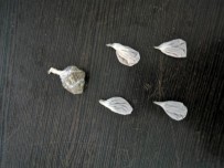 EROIN - Şüpheli Şahıslardan Uyuşturucu Ele Geçirildi