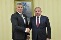 MUSTAFA ŞENTOP - TBMM Başkanı Şentop, Karadağ Meclis Başkanı Brajovic İle Görüştü