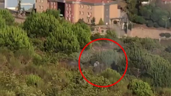 Pendik'teki orman yangını şüphelisi tutuklandı