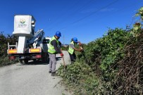 ALTINORDU - Altınordu'da Yol Güvenliği İçin Ağaçlar Budanıyor