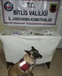 BİTLİS - Bitlis'te Uyuşturucu Operasyonu