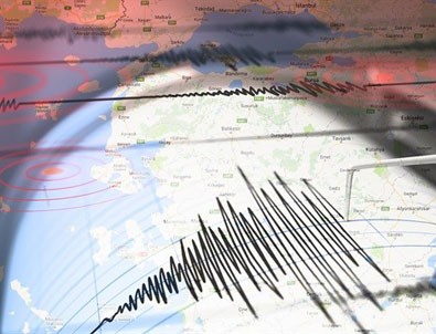 Hayvanlar depremi önceden hissedebilir mi? İşte bilimin yanıtı