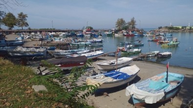 Karadenizli Balıkçılar Sezonu Palamut Beklerken Hamsiyle Açtı
