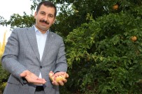 PATENT - Karaköprü Narı Tescillendi