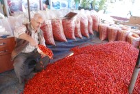 KUŞBURNU - Kuşburnu Bol Olunca Fiyatı Düştü