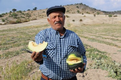 (ÖZEL) Başkentin Kavun Merkezinden Kötü Haber