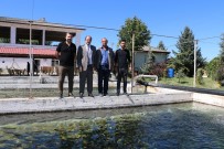 SU ÜRÜNLERİ - Şahin'den Alabalık Tesisine Ziyaret