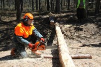 ERDAL DOĞAN - Ormancılıkta Yeni Dönem E-Satış