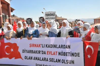 Şırnaklı Annelerden HDP Diyarbakır İl Binası Önünde Eylem Yapan Ailelere Destek