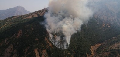 Akkaya Köyünde Orman Yangını Çıktı