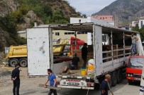 BOĞA GÜREŞİ - Artvin'in Şampiyon Boğaları Aydın'a Doğru Yola Çıktı