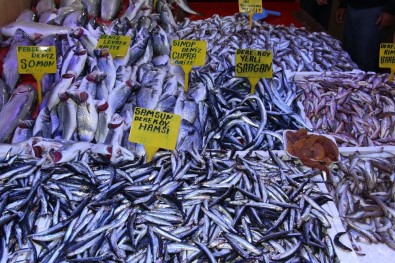 Balık Miktarı Azaldı, Fiyatlar Arttı