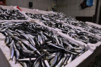 BAYRAM YıLMAZ - Balıkçılar Sezondan Umutsuz