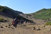 VAN GÖLÜ - Dağcılar Van Gölü İçin Tırmandı