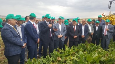 Kayseri Şeker'in Şarkışla'daki Pancar Hasat Günü'ne Sivas Valisi De Katıldı