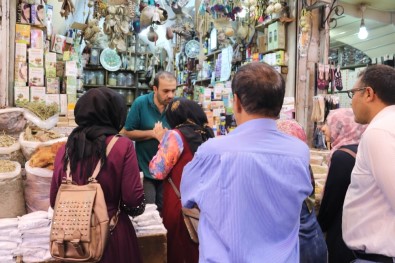 Kış Hastalıklarına Karşı Bitkisel Mücadele