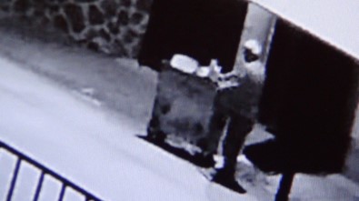 Motosikletin Çarptığı Köpek Telef Oldu