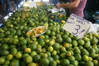 TAZE FASULYE - Pazarda Domates 2, Salatalık 1.5, Taze Fasulye 6 Liradan Alıcı Buluyor