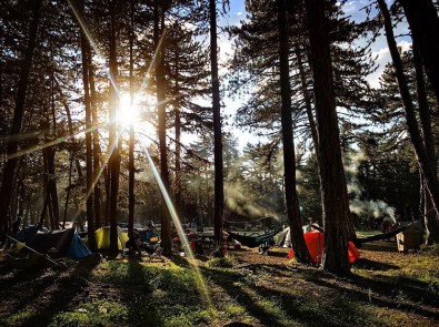 Piknik Sepetini Al Gel