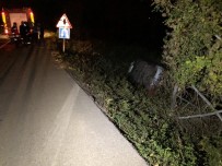 Sakarya'da Otomobil Şarampole Uçtu Açıklaması 2 Yaralı