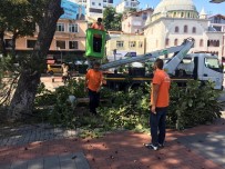 Sakin Şehir Perşembe'de Kış Hazırlıkları Sürüyor