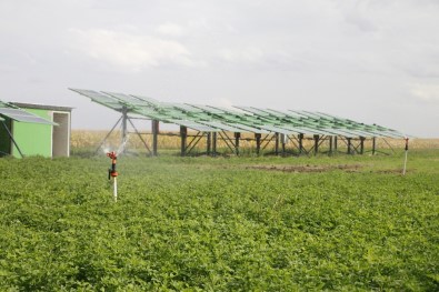 Türkiye'nin Milli Projesi, Dünya Basınında BM'nin Açlık Raporuna Panzehir Olarak Sunuldu
