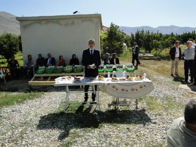 Doğanşehir'de Elma Hasat Günü Düzenlendi