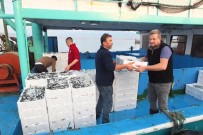 İHLAS - Hamsi'nin Kilosu 15 Liraya Geriledi