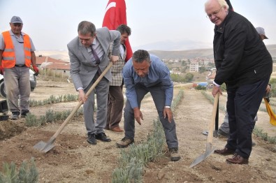 İklim Değişikliğine Dikkat Çektiler