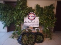 BONZAI - Operasyonda 12 Uyuşturucu Taciri Yakalandı