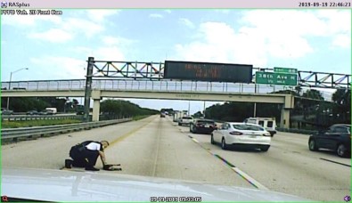 Otoyolda Otomobil Çarpan Köpeği Polis Kurtardı