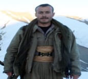 JANDARMA ASTSUBAY - Terör Örgütü PKK'ya Bir Darbe Daha