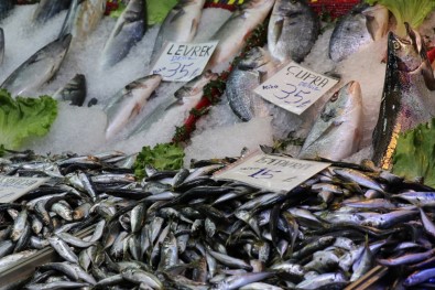 Balık Fiyatları, Beyaz Eti Solladı