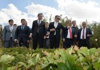ATATÜRK ÜNIVERSITESI - Bu Cezaevinde Her Şey Organik
